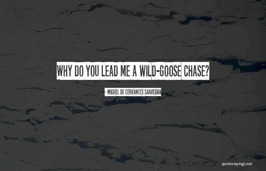 Wild Goose Chase Quotes By Miguel De Cervantes Saavedra Wild Goose Chase Quotes By Miguel De Cervantes Saavedra