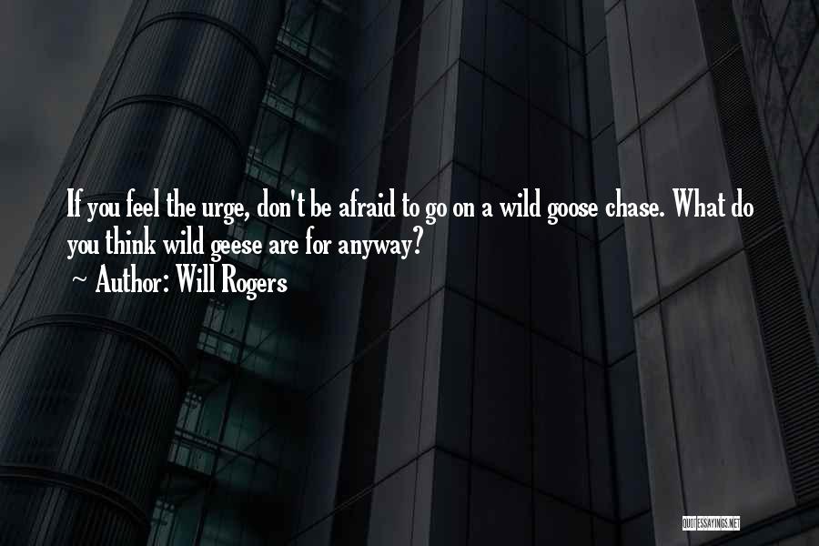 Wild Goose Chase Quotes By Will Rogers