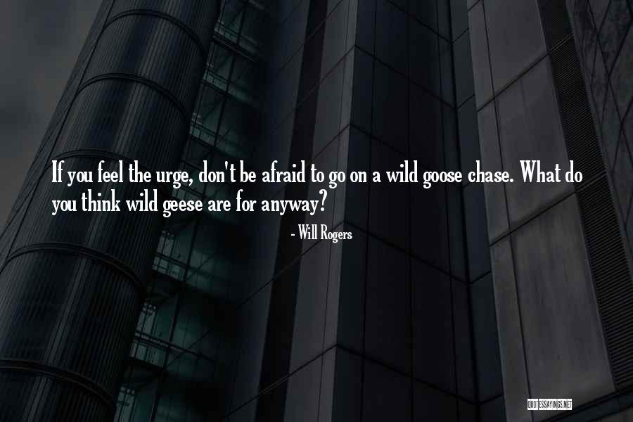 Wild Goose Quotes By Will Rogers Wild Goose Quotes By Will Rogers