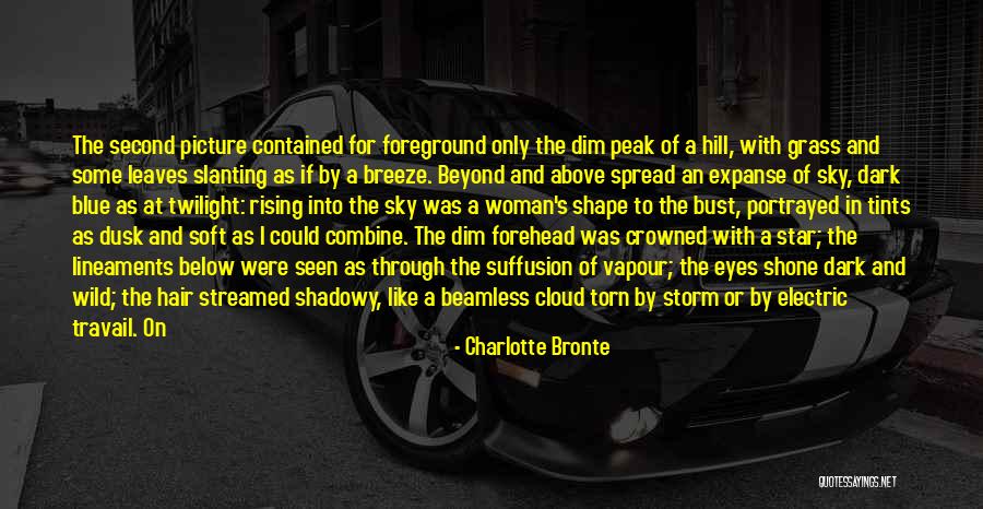 Wild Hair Quotes By Charlotte Bronte Wild Hair Quotes By Charlotte Bronte