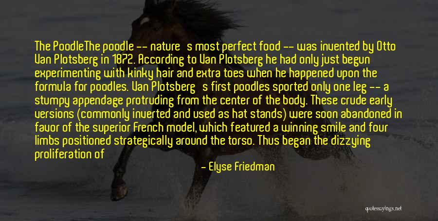 Wild Hair Quotes By Elyse Friedman