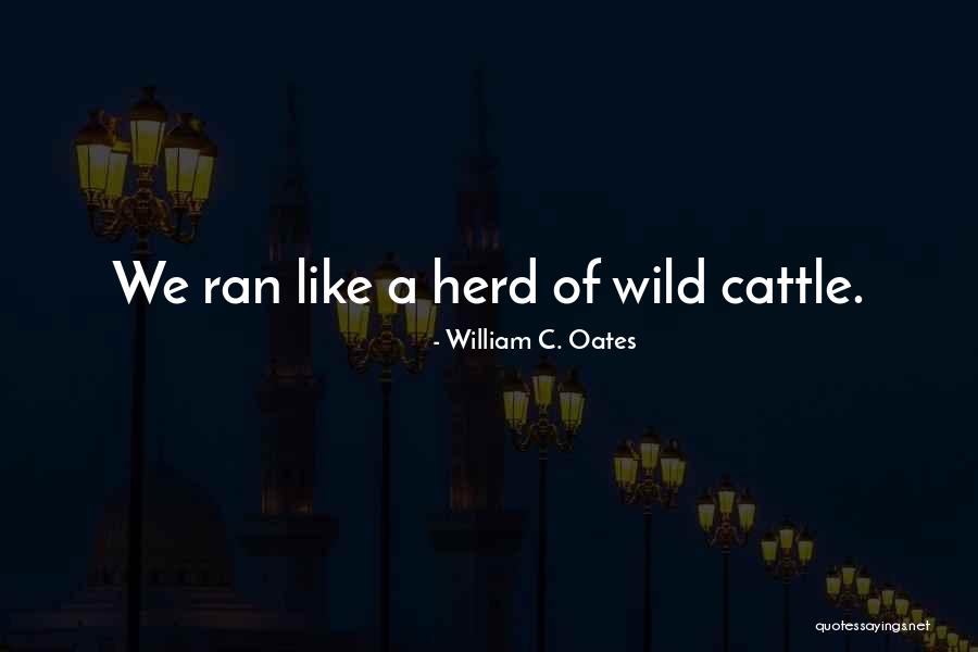 Wild Herds Quotes By William C. Oates Wild Herds Quotes By William C. Oates