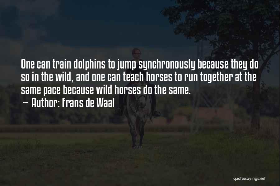 Wild Horses Quotes By Frans De Waal