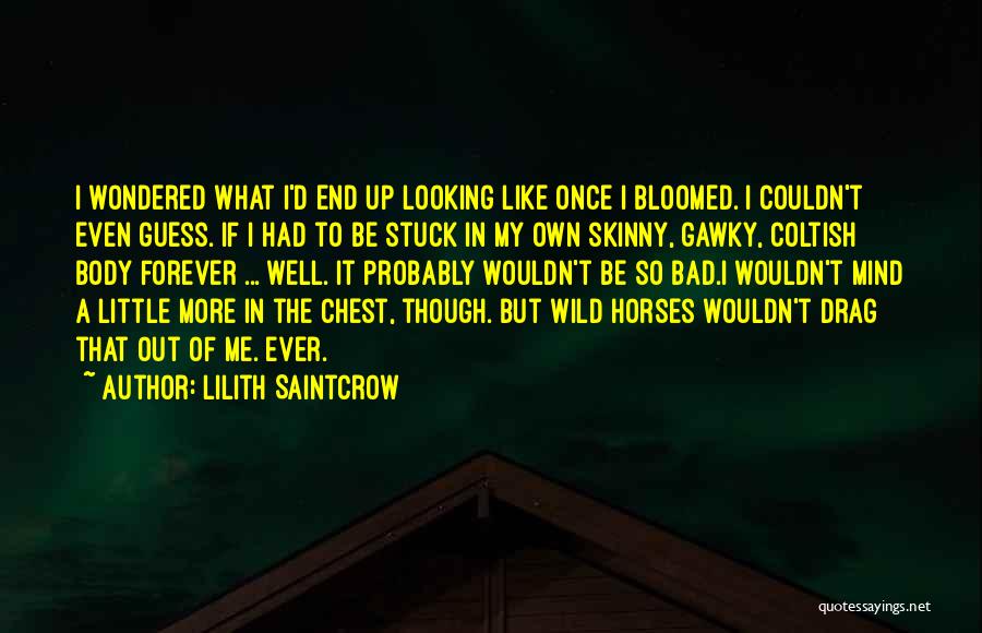 Wild Horses Quotes By Lilith Saintcrow