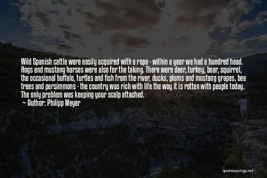 Wild Horses Quotes By Philipp Meyer