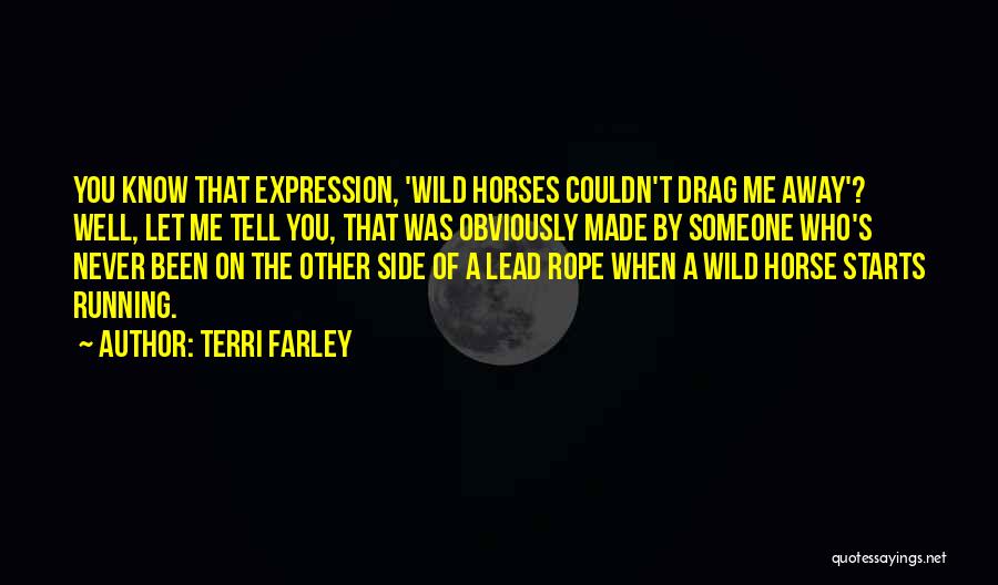 Wild Horses Quotes By Terri Farley