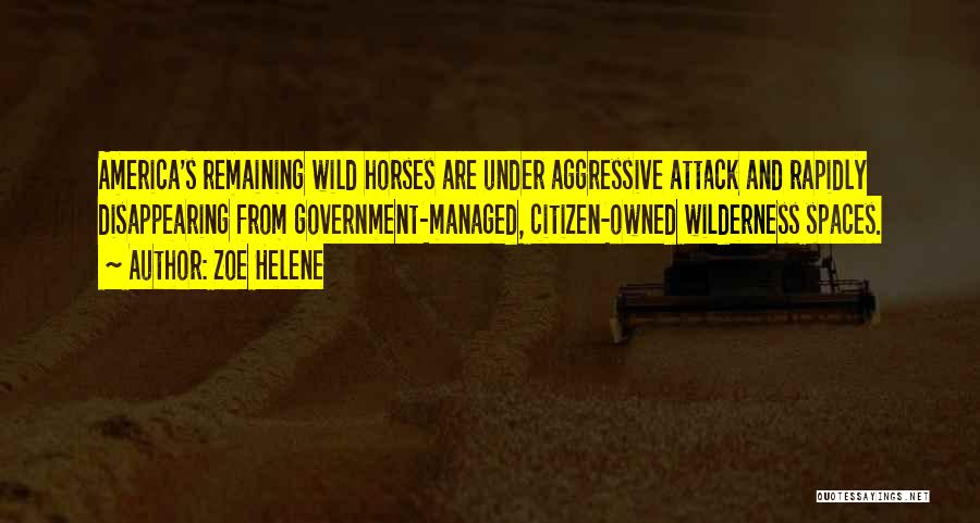 Wild Horses Quotes By Zoe Helene