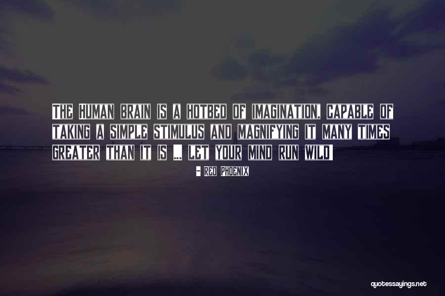 Wild Imagination Quotes By Red Phoenix Wild Imagination Quotes By Red Phoenix