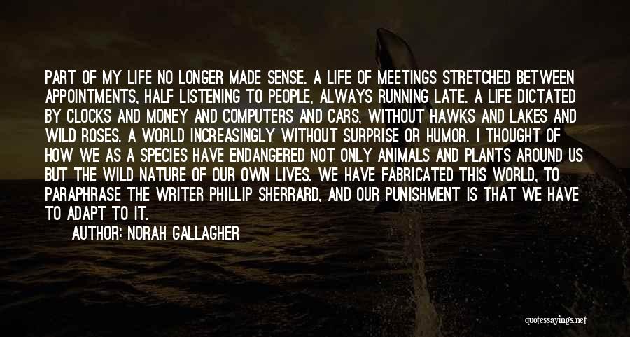 Wild Life Animals Quotes By Norah Gallagher