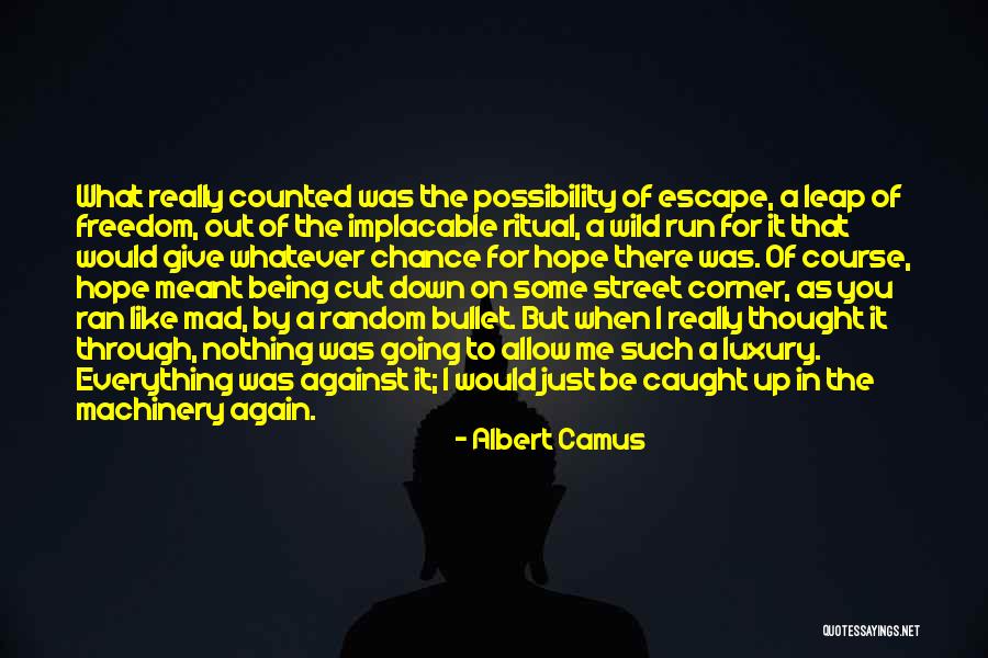 Wild Mad Quotes By Albert Camus Wild Mad Quotes By Albert Camus