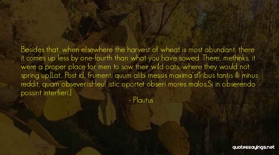 Wild Oats Quotes By Plautus Wild Oats Quotes By Plautus