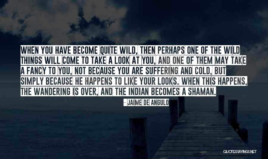 Wild One Quotes By Jaime De Angulo Wild One Quotes By Jaime De Angulo