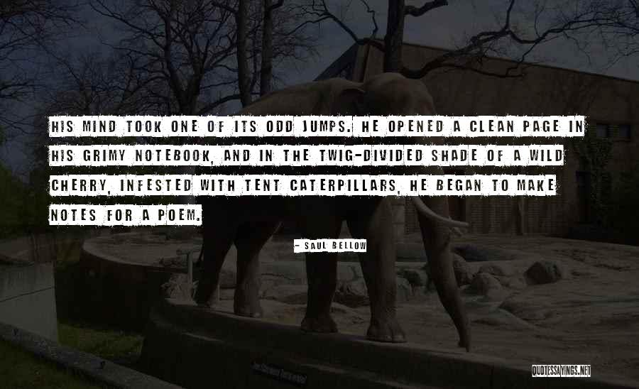 Wild One Quotes By Saul Bellow Wild One Quotes By Saul Bellow