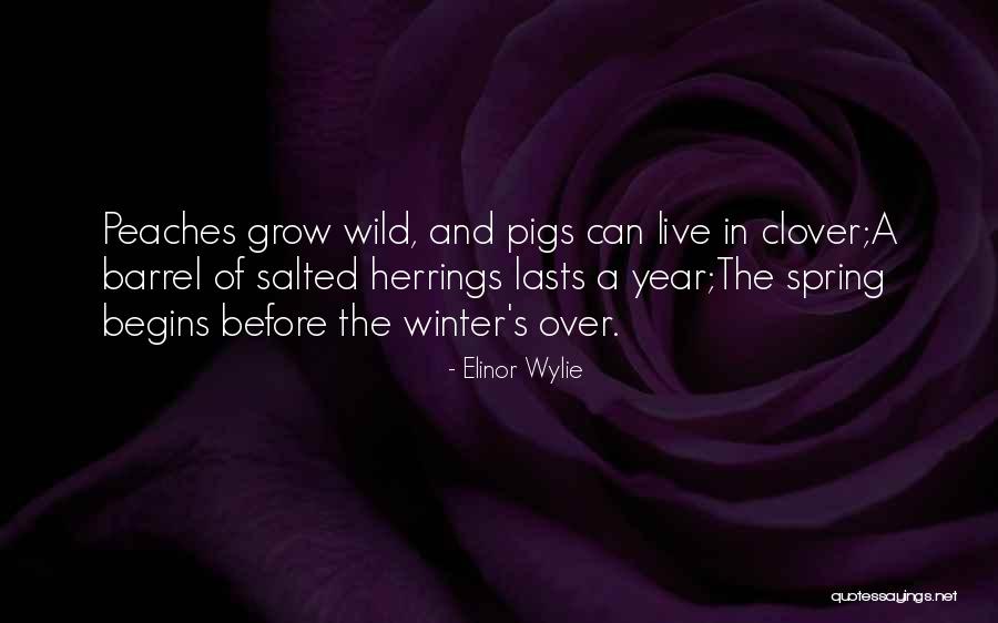 Wild Pigs Quotes By Elinor Wylie Wild Pigs Quotes By Elinor Wylie