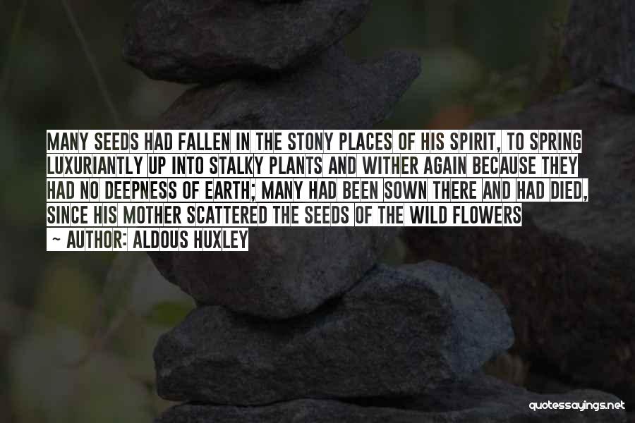 Wild Places Quotes By Aldous Huxley