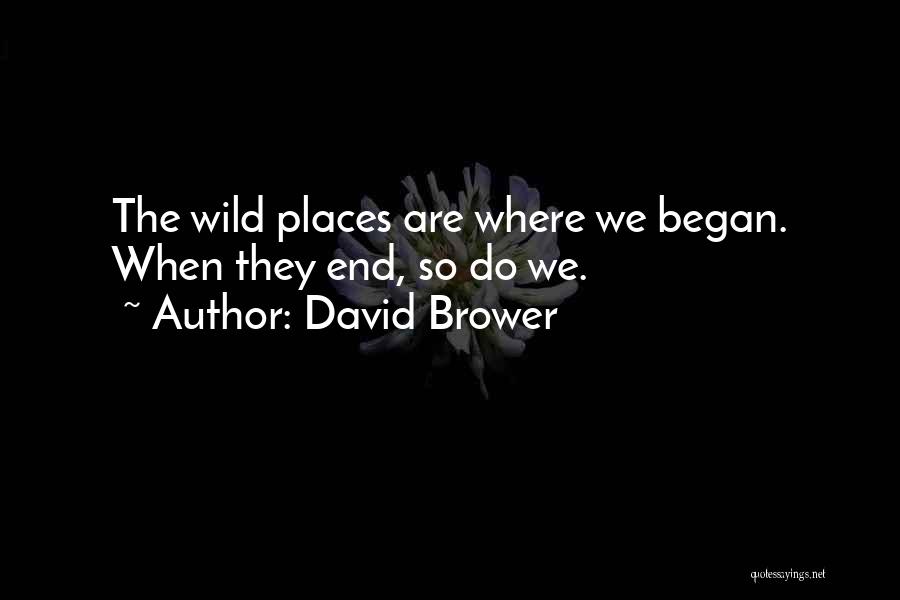 Wild Places Quotes By David Brower