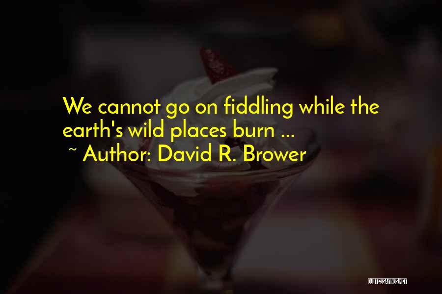 Wild Places Quotes By David R. Brower