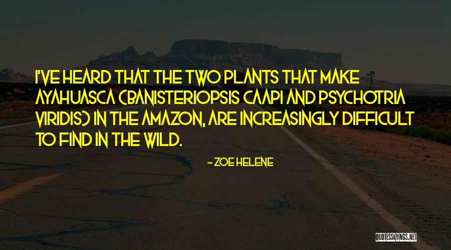Wild Plants Quotes By Zoe Helene Wild Plants Quotes By Zoe Helene