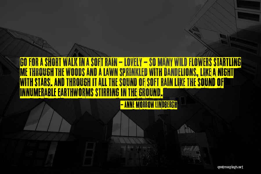 Wild Rain Quotes By Anne Morrow Lindbergh Wild Rain Quotes By Anne Morrow Lindbergh