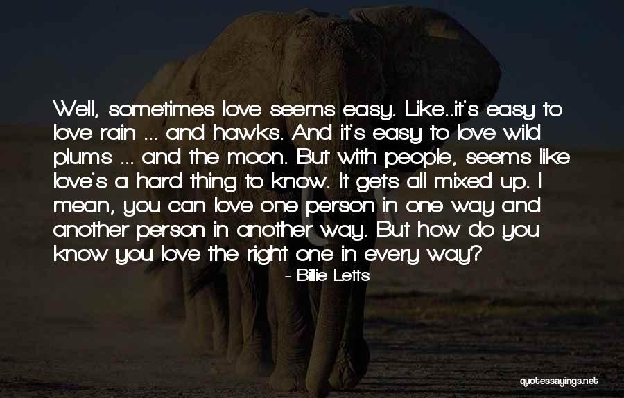Wild Rain Quotes By Billie Letts Wild Rain Quotes By Billie Letts