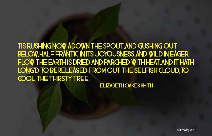 Wild Rain Quotes By Elizabeth Oakes Smith Wild Rain Quotes By Elizabeth Oakes Smith