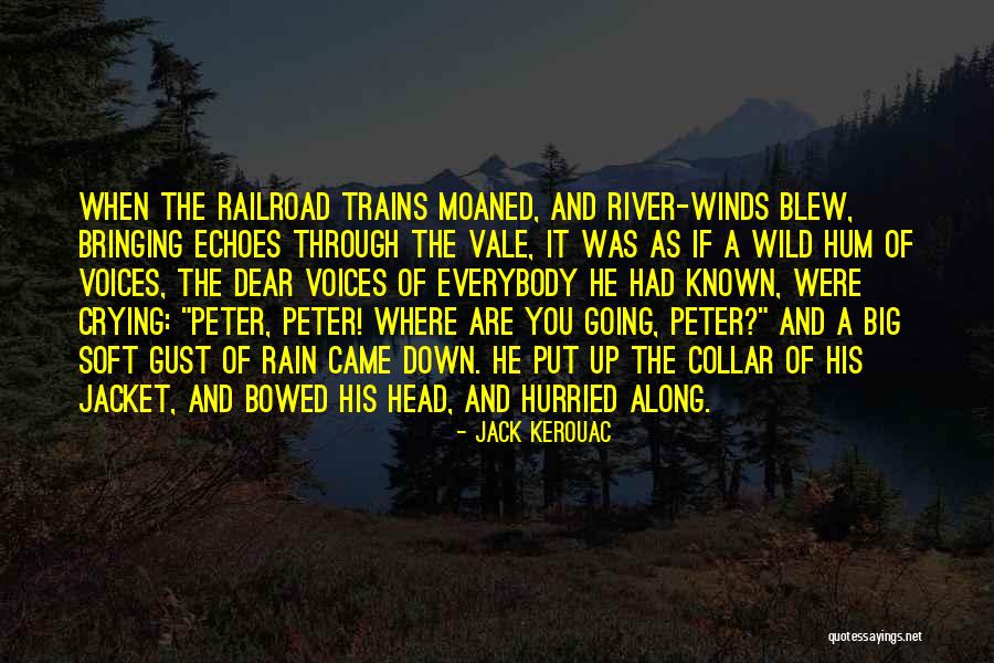 Wild Rain Quotes By Jack Kerouac Wild Rain Quotes By Jack Kerouac