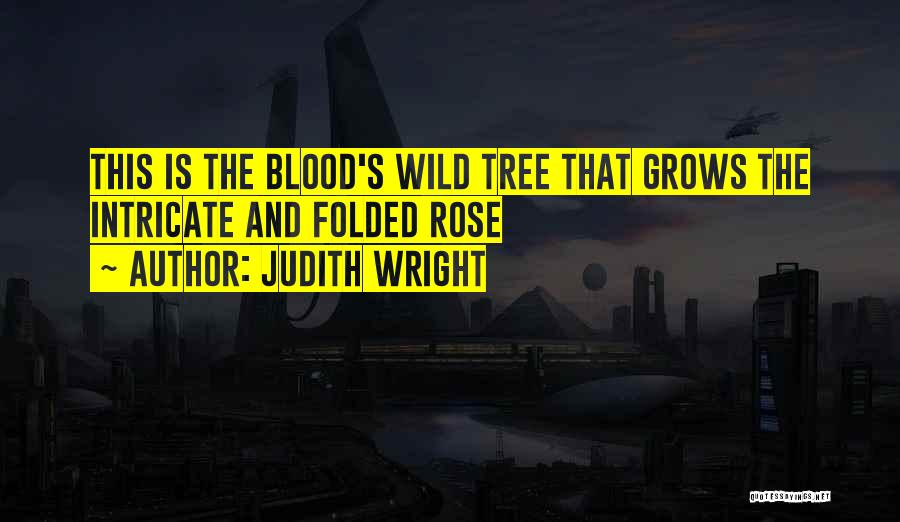 Wild Rose Quotes By Judith Wright