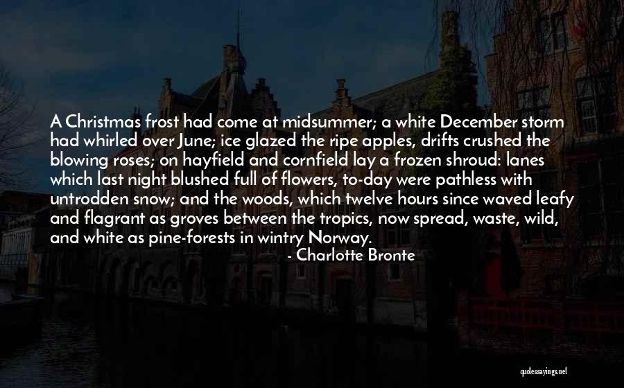Wild Roses Quotes By Charlotte Bronte Wild Roses Quotes By Charlotte Bronte