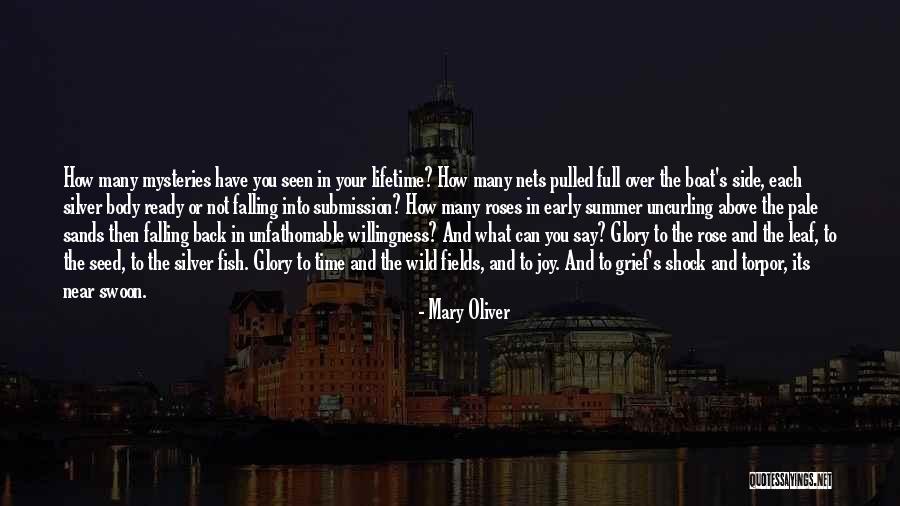 Wild Roses Quotes By Mary Oliver Wild Roses Quotes By Mary Oliver
