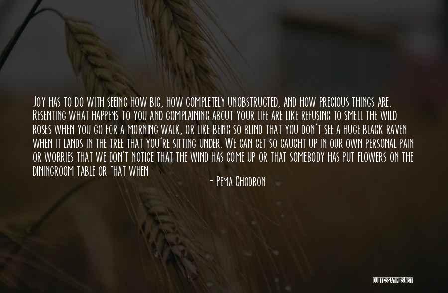 Wild Roses Quotes By Pema Chodron Wild Roses Quotes By Pema Chodron