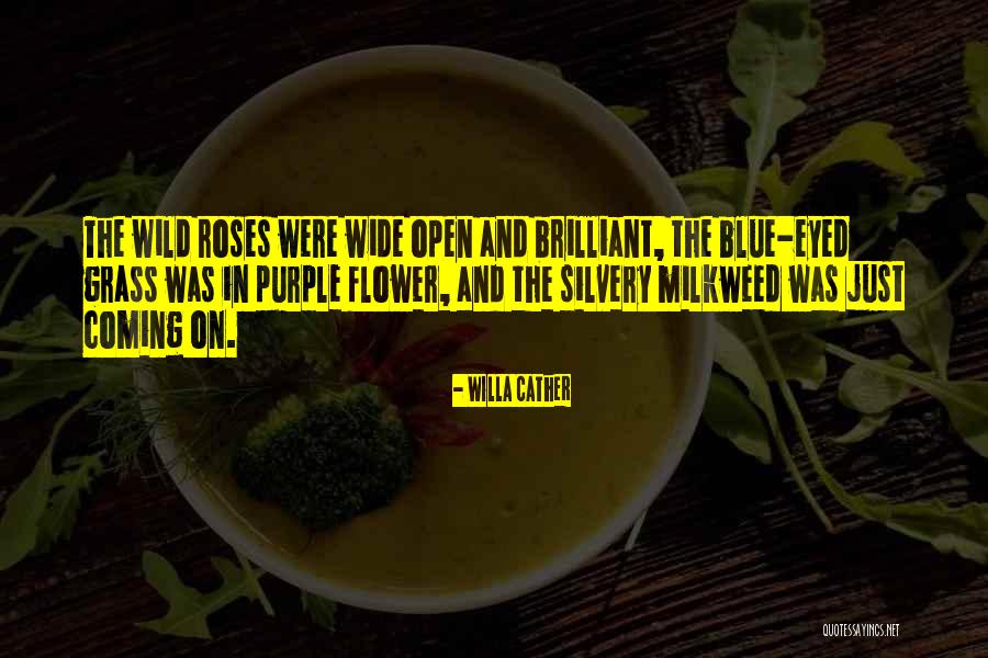 Wild Roses Quotes By Willa Cather Wild Roses Quotes By Willa Cather