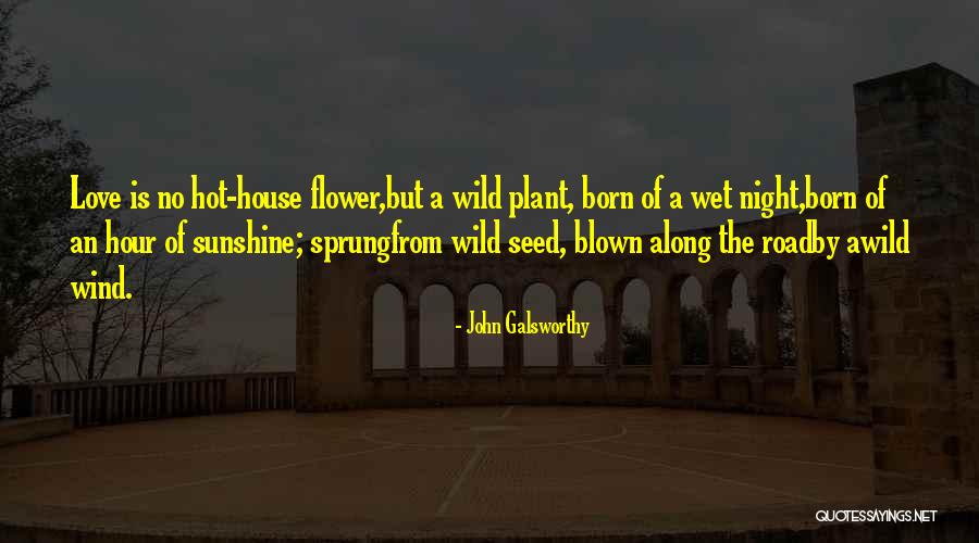 Wild Seed Quotes By John Galsworthy Wild Seed Quotes By John Galsworthy
