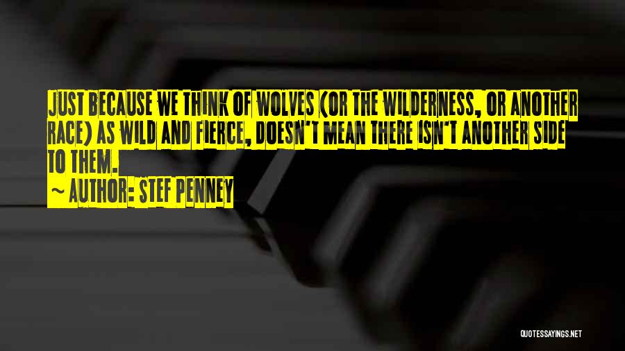 Wild Side Quotes By Stef Penney