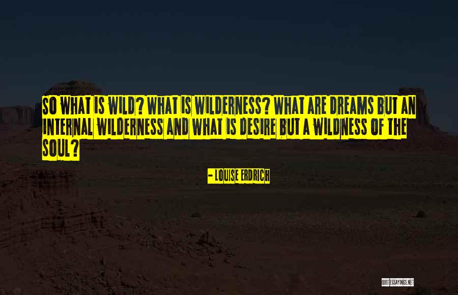 Wild Soul Quotes By Louise Erdrich Wild Soul Quotes By Louise Erdrich