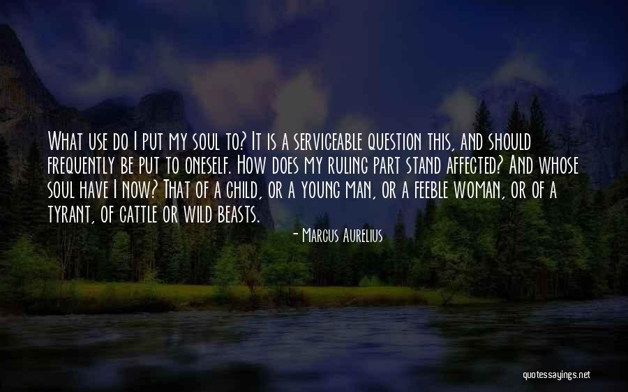 Wild Soul Quotes By Marcus Aurelius Wild Soul Quotes By Marcus Aurelius