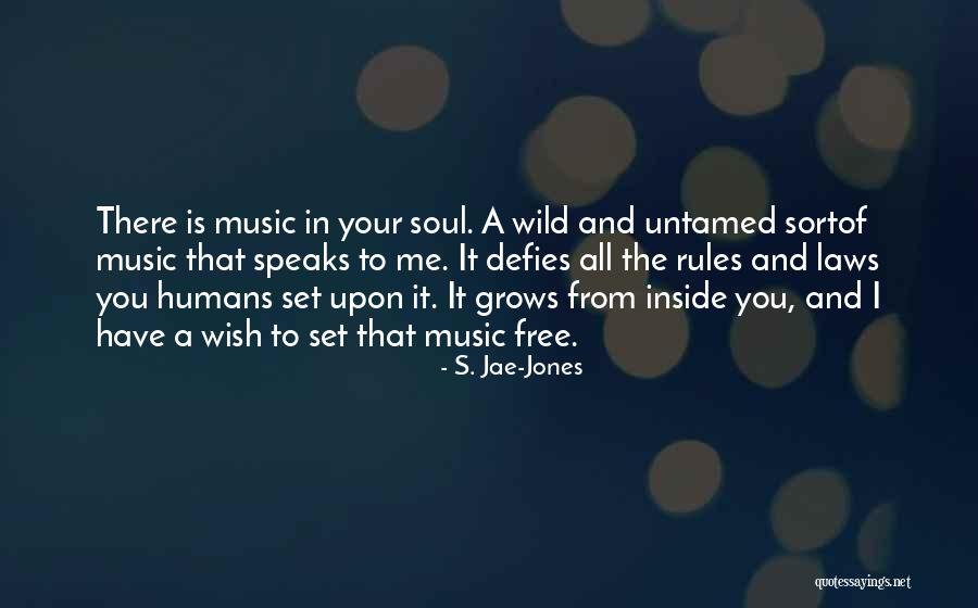 Wild Soul Quotes By S. Jae-Jones Wild Soul Quotes By S. Jae-Jones
