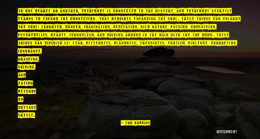 Wild Soul Quotes By Tom Robbins Wild Soul Quotes By Tom Robbins