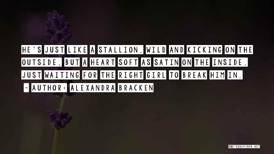 Wild Stallion Quotes By Alexandra Bracken