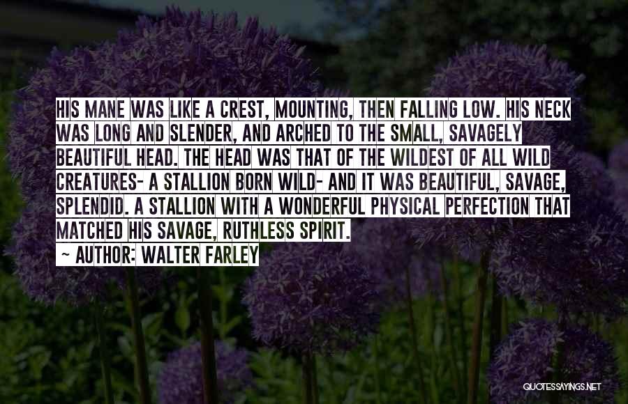 Wild Stallion Quotes By Walter Farley