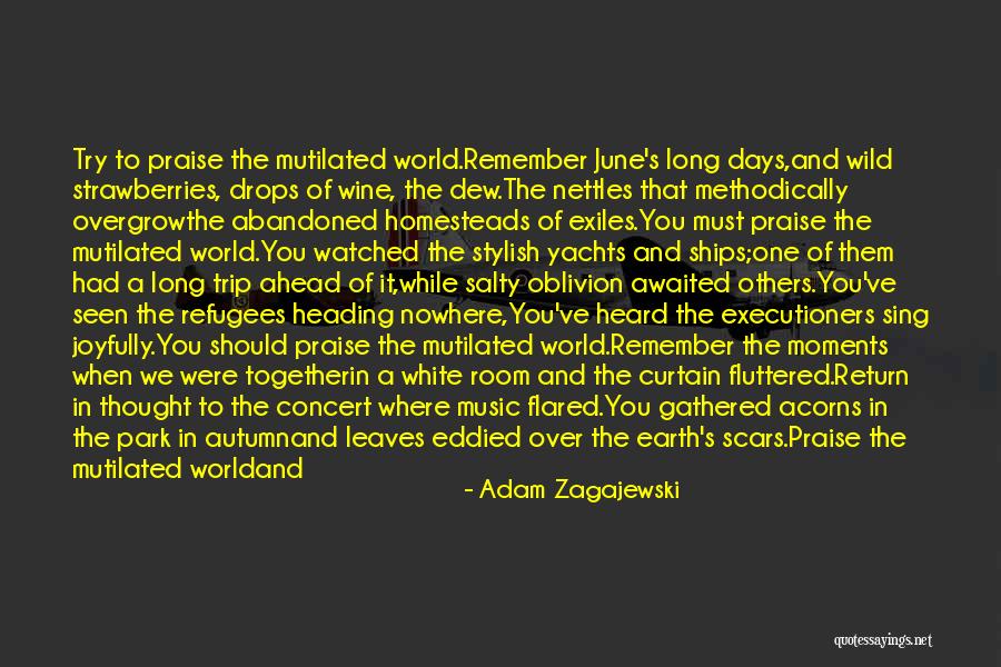 Wild Strawberries Quotes By Adam Zagajewski Wild Strawberries Quotes By Adam Zagajewski