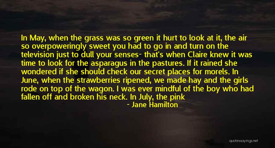 Wild Strawberries Quotes By Jane Hamilton Wild Strawberries Quotes By Jane Hamilton