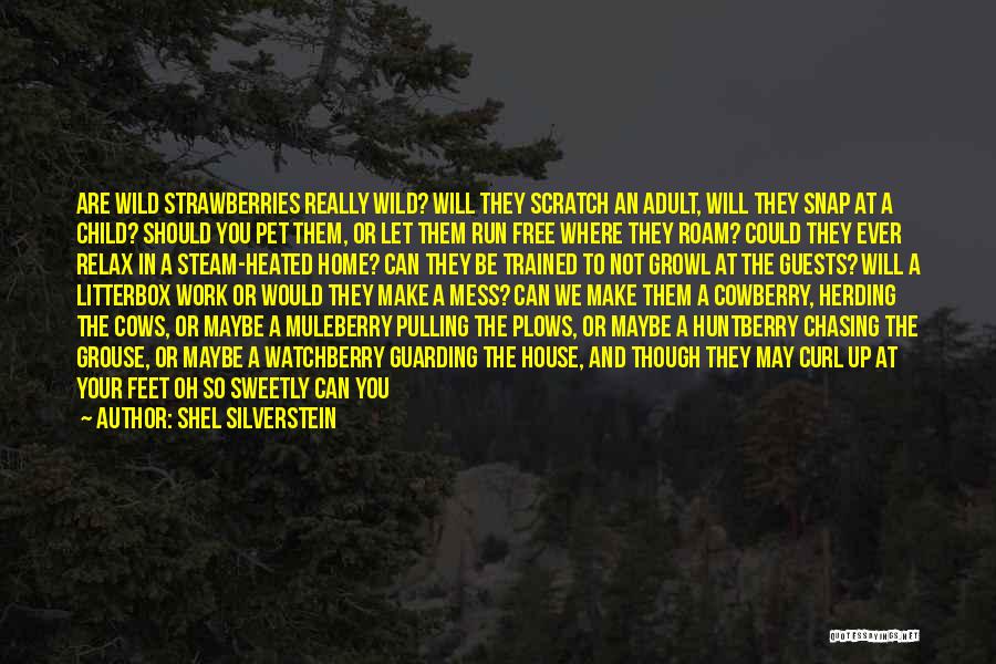 Wild Strawberries Quotes By Shel Silverstein