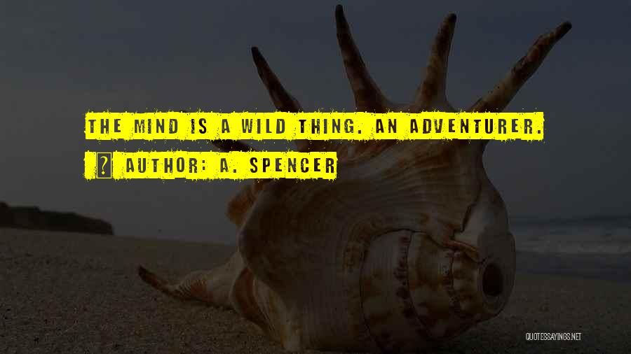 Wild Thing Quotes By A. Spencer