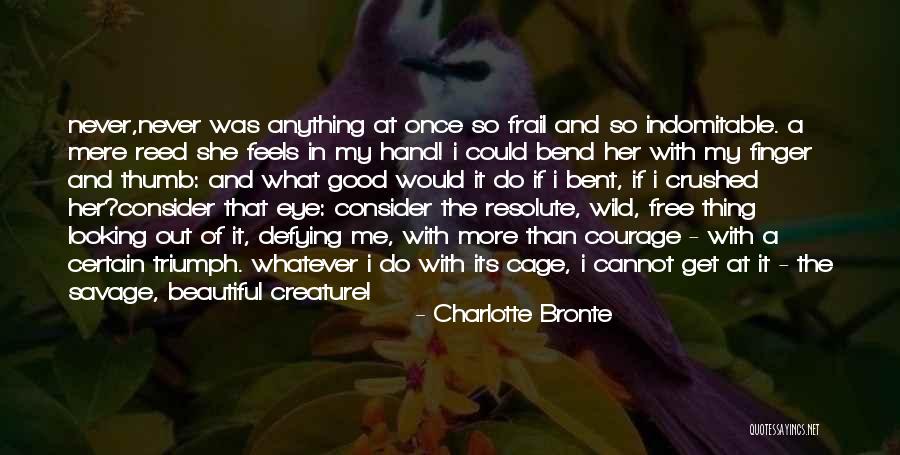 Wild Thing Quotes By Charlotte Bronte Wild Thing Quotes By Charlotte Bronte