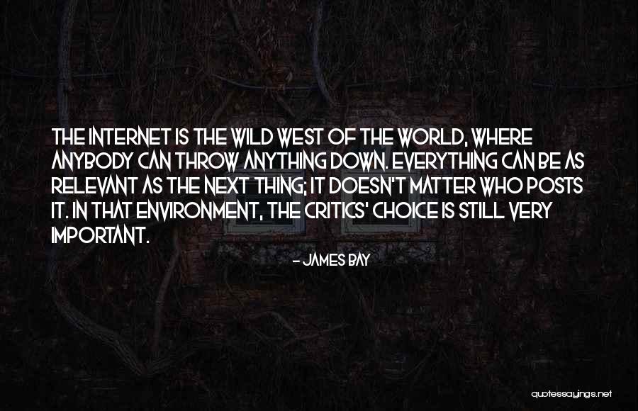 Wild Thing Quotes By James Bay