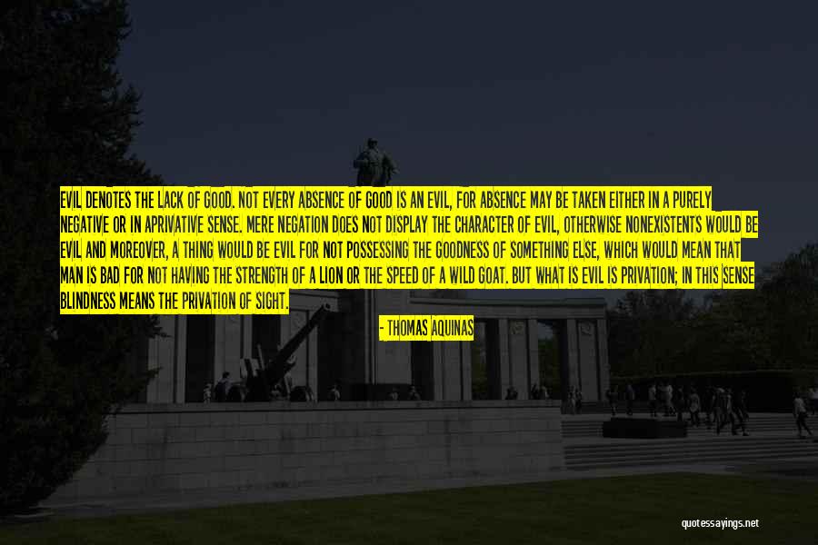 Wild Thing Quotes By Thomas Aquinas Wild Thing Quotes By Thomas Aquinas