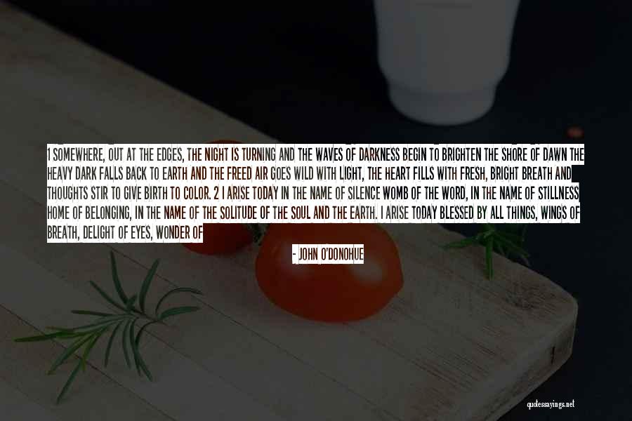 Wild Things 2 Quotes By John O'Donohue Wild Things 2 Quotes By John O'Donohue