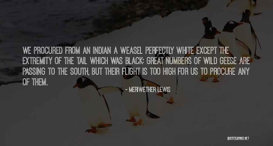 Wild Things 2 Quotes By Meriwether Lewis Wild Things 2 Quotes By Meriwether Lewis