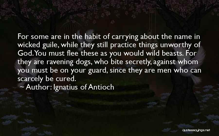 Wild Things Are Quotes By Ignatius Of Antioch