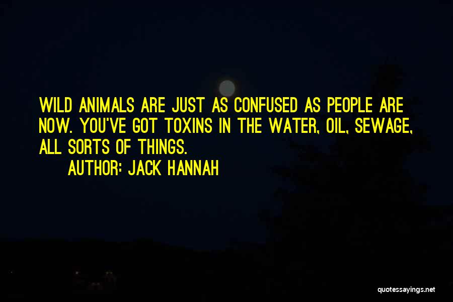 Wild Things Are Quotes By Jack Hannah